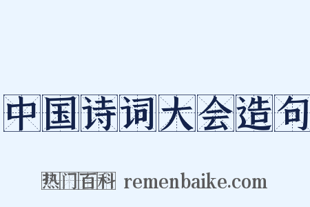 中国诗词大会造句是什么意思的图片